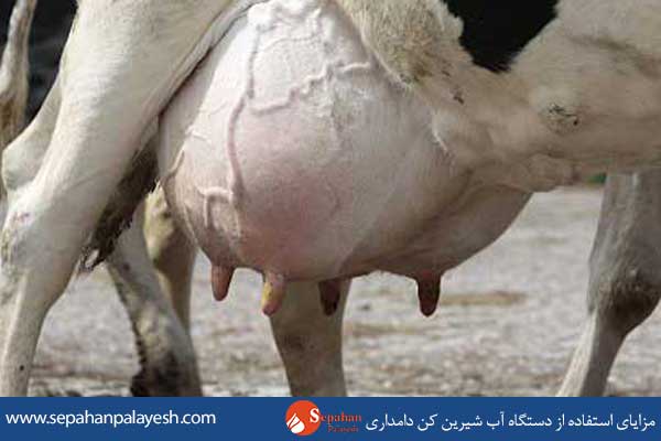 آب شیرین کن دامداری چیست ؟