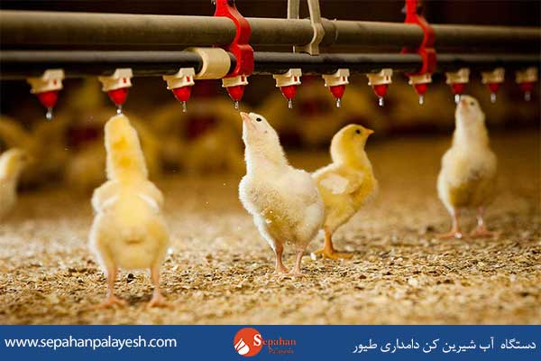 آب شیرین کن دامداری چیست ؟