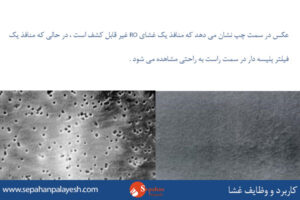 کاربرد-و-وظایف-غشا